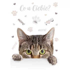 Cicás Meow A/4 gumis mappa