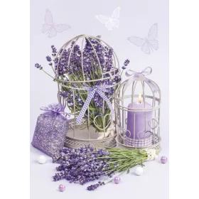 Levendula Cage A/4 gumis mappa