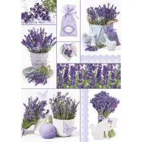 Levendula Moments A/4 gumis mappa