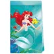 Disney Hercegnők, Ariel Curious papírzacskó 4 db-os FSC