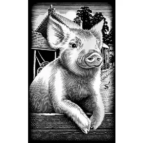 Reeves Ezüst képkarcoló (mini), Röfi