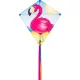 Eddy Flamingo