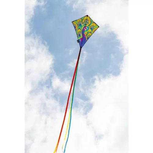 Eddy Peacock 70 cm sárkány