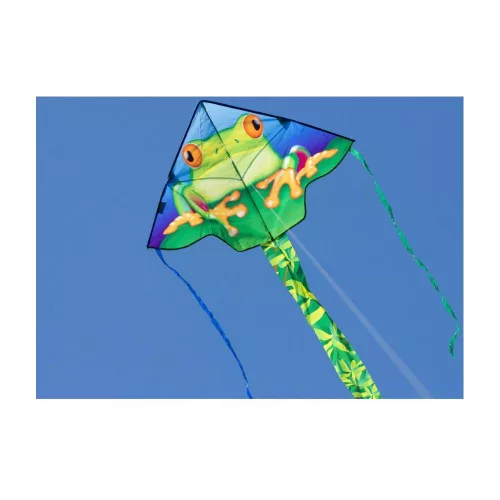 Simple Flyer Froggy 120 cm sárkány