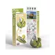 EUGY Triceratops 3D puzzle