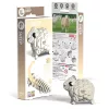 EUGY Bárány 3D puzzle