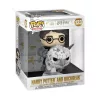 Funko POP! Rides: Harry Potter - Harry Potter & Buckbeak figura #123