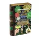 Jigsaw Library - A Nagy Gatsby puzzle