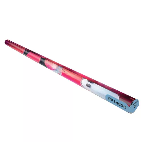 FROZEN 2 (GUIDING SPIRIT) maxi poszter