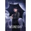 WEDNESDAY (DOWNPOUR) maxi poszter