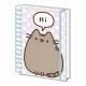 Pyramid PUSHEEN (PUSHEEN SAYS HI) A5 spirálfüzet