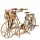 UGEARS Holland bicikli modell