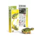 EUGY Ankiloszaurusz 3D puzzle