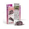 EUGY Tatu 3D puzzle