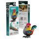 EUGY Kakas 3D puzzle
