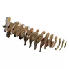 EUGY Bighorn 3D puzzle