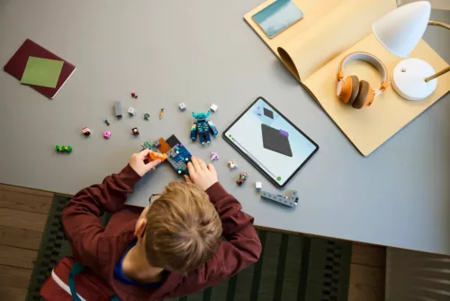 LEGO Minecraft 21274 Találkozás az õrzõvel