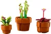LEGO Botanicals 10329 Apró cserepes növények