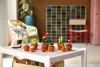 LEGO Botanicals 10329 Apró cserepes növények