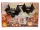 Halloween dekoráció - denevér