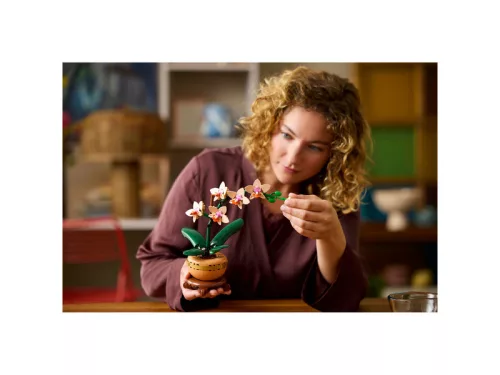 LEGO Botanicals 10343 Mini orchidea