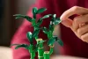LEGO Botanicals 10344 Szerencse bambusz