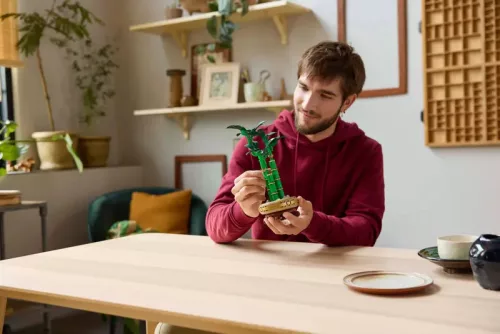 LEGO Botanicals 10344 Szerencse bambusz