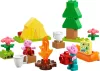 LEGO® DUPLO® Peppa malac – Kempingezős kirándulás (10452)