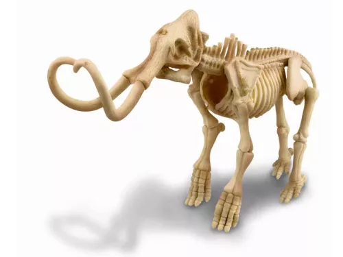 4M Régészjáték dobozban Mamut