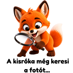 Dínó szett