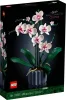 LEGO Botanicals 10311 Orchidea