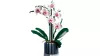 LEGO Botanicals 10311 Orchidea
