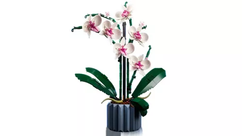 LEGO Botanicals 10311 Orchidea
