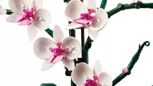 LEGO Botanicals 10311 Orchidea