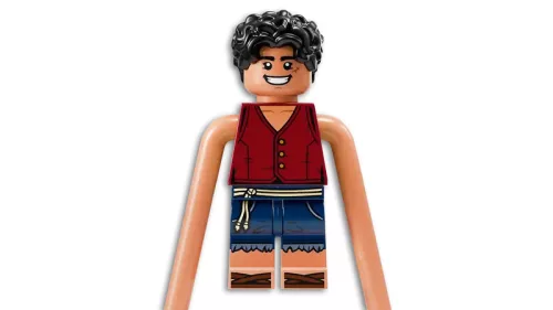 LEGO One Piece 75638 Next