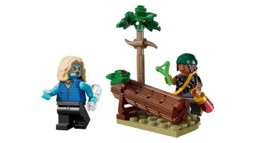 LEGO One Piece 75638 Next