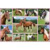 Schmidt Dream Horses puzzle 150 db-os 56269