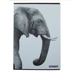 Füzet kockás STREET A/4 54 lapos Safari