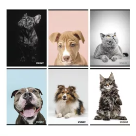 Füzet sima STREET A/4 54 lapos Friends