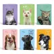 Füzet vonalas LIPAMILL A/4 40 lapos Pets