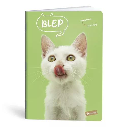 Füzet kockás LIPAMILL A/4 40 lapos Pets