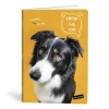 Füzet kockás LIPAMILL A/4 40 lapos Pets