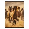 Füzet vonalas STREET A/4 54 lapos Horses margóval
