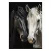 Füzet vonalas STREET A/4 54 lapos Horses margóval