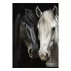 Füzet vonalas STREET A/4 54 lapos Horses margóval
