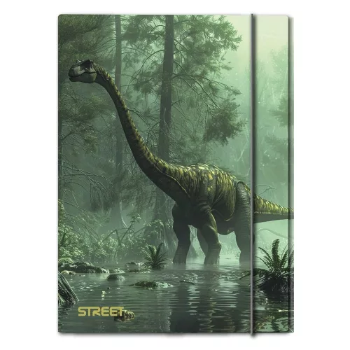 Gumis mappa STREET A/4 1 cm gerincvastag Dino