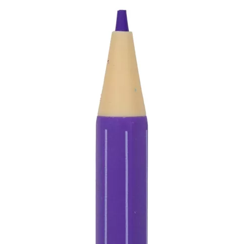 Színes ceruza ASTRA animals műanyag hengerben 12 színű