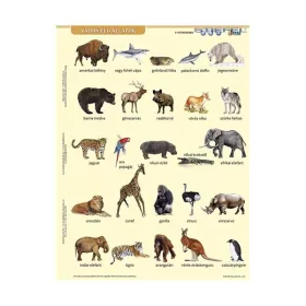   Tanulói munkalap STIEFEL A/4 vadon élő állatok + munkaoldal