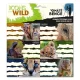 Füzetcímke ARS UNA 18 darabos Icons of the Wild