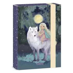 Füzetbox ARS UNA A/5 Northern Lights